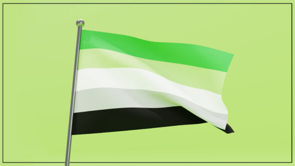 Image of the Aromantic Pride flag— a flag with a green, light green, white, light gray, and black stripeImage