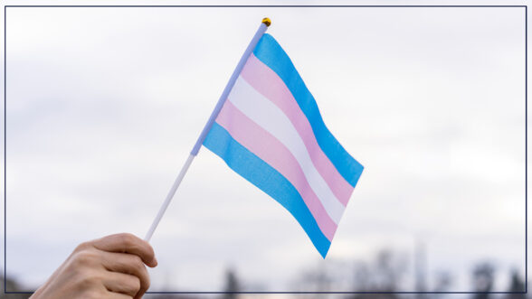 Image of a person holding a trans LGBTQ+ flag